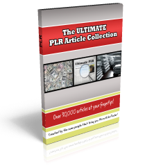 PLR Article Software